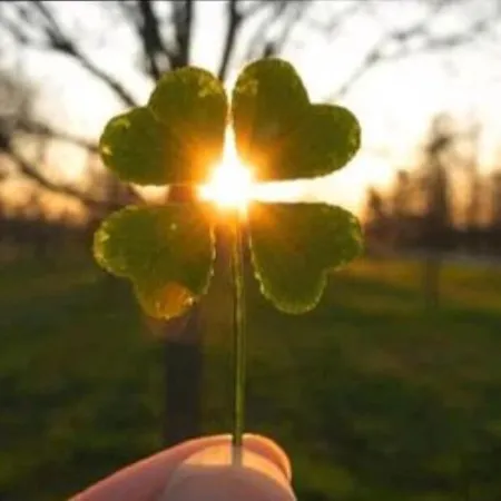 אתר קמפינג - Idyllischer Wohnmobilstellplatz In Der Mecklenburgischen Seenplatte#mecklenburg-vorpommern #see #landleben