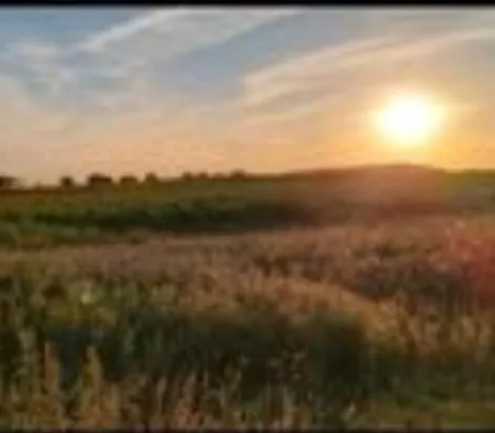 - Idyllischer Wohnmobilstellplatz In Der Mecklenburgischen Seenplatte#mecklenburg-vorpommern #see #landleben אתר קמפינג Carpin