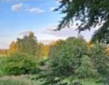 - Idyllischer Wohnmobilstellplatz In Der Mecklenburgischen Seenplatte#mecklenburg-vorpommern #see #landleben