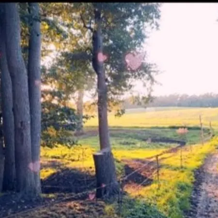 אתר קמפינג - Idyllischer Wohnmobilstellplatz In Der Mecklenburgischen Seenplatte#mecklenburg-vorpommern #see #landleben *