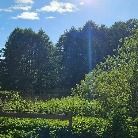 אתר קמפינג - Idyllischer Wohnmobilstellplatz In Der Mecklenburgischen Seenplatte#mecklenburg-vorpommern #see #landleben