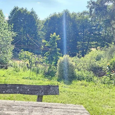 - Idyllischer Wohnmobilstellplatz In Der Mecklenburgischen Seenplatte#mecklenburg-vorpommern #see #landleben Campingplads