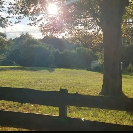 אתר קמפינג - Idyllischer Wohnmobilstellplatz In Der Mecklenburgischen Seenplatte#mecklenburg-vorpommern #see #landleben