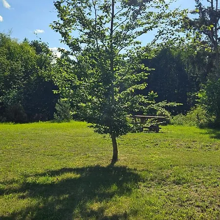 - Idyllischer Wohnmobilstellplatz In Der Mecklenburgischen Seenplatte#mecklenburg-vorpommern #see #landleben Carpin