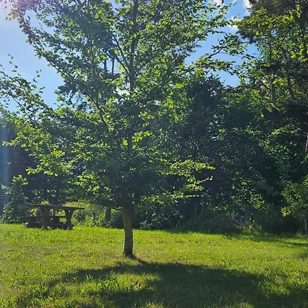 אתר קמפינג - Idyllischer Wohnmobilstellplatz In Der Mecklenburgischen Seenplatte#mecklenburg-vorpommern #see #landleben *